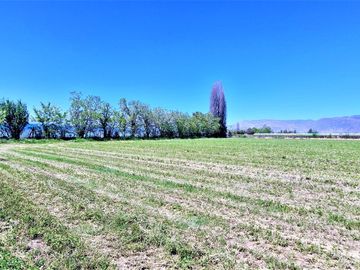 En venta parcela en San Rafael, San Felipe, 75.600 m2., en producción. 483 M$