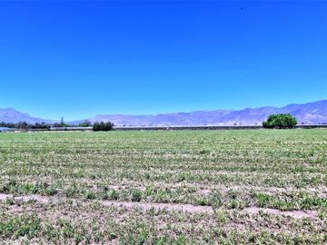 En venta parcela en San Rafael, San Felipe, 75.600 m2., en producción. 483 M$