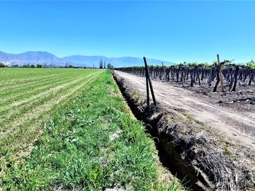 En venta parcela en San Rafael, San Felipe, 75.600 m2., en producción. 483 M$