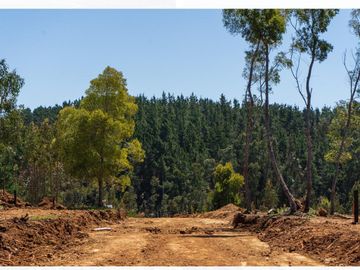 Oportunidad Venta Terrenos en Condominio
