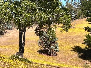 Terreno Amplio para Tu Proyecto Ideal