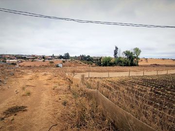 En venta parcela de 18.000 m2., en El Huape, Manzanar, Quillota – 170 M$.