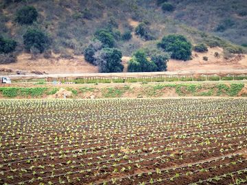 En venta parcela de 18.000 m2., en El Huape, Manzanar, Quillota – 170 M$.