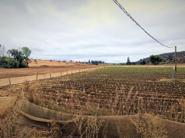 En venta parcela de 18.000 m2., en El Huape, Manzanar, Quillota – 170 M$.