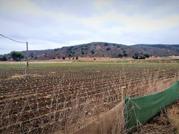 En venta parcela de 18.000 m2., en El Huape, Manzanar, Quillota – 170 M$.