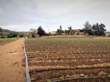 En venta parcela de 18.000 m2., en El Huape, Manzanar, Quillota – 170 M$.