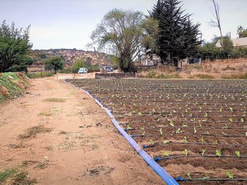 En venta parcela de 18.000 m2., en El Huape, Manzanar, Quillota – 170 M$.