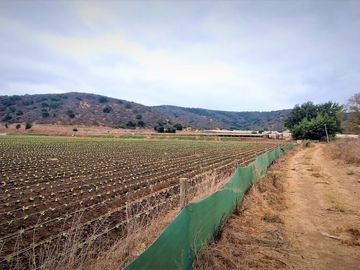 En venta parcela de 18.000 m2., en El Huape, Manzanar, Quillota – 170 M$.
