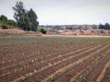 En venta parcela de 18.000 m2., en El Huape, Manzanar, Quillota – 170 M$.
