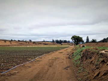 En venta parcela de 18.000 m2., en El Huape, Manzanar, Quillota – 170 M$.