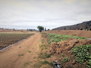 En venta parcela de 18.000 m2., en El Huape, Manzanar, Quillota – 170 M$.
