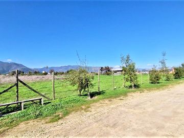 Venta de parcela plana de  5.752 m2., en Quillota. 2.495 UF.