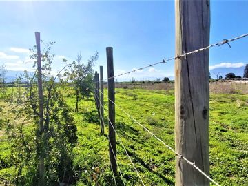Venta de parcela plana de  5.752 m2., en Quillota. 2.495 UF.