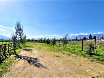Venta de parcela plana de  5.752 m2., en Quillota. 2.495 UF.