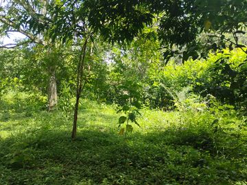 LOTE EN VENTA CERCA DE SOPETTRAN PLANO SE PERMUTA