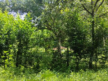 LOTE EN VENTA CERCA DE SOPETTRAN PLANO SE PERMUTA