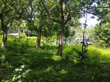 LOTE EN VENTA CERCA DE SOPETTRAN PLANO SE PERMUTA