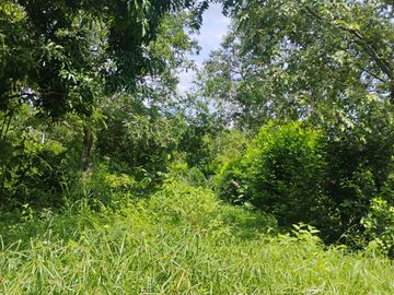 LOTE EN VENTA CERCA DE SOPETTRAN PLANO SE PERMUTA