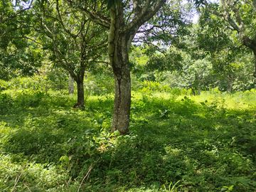 LOTE EN VENTA CERCA DE SOPETTRAN PLANO SE PERMUTA