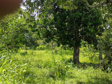 LOTE EN VENTA CERCA DE SOPETTRAN PLANO SE PERMUTA