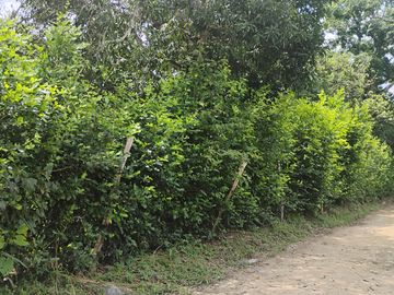 LOTE EN VENTA CERCA DE SOPETTRAN PLANO SE PERMUTA