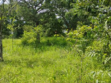 LOTE EN VENTA CERCA DE SOPETTRAN PLANO SE PERMUTA