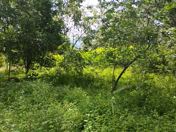 LOTE EN VENTA CERCA DE SOPETTRAN PLANO SE PERMUTA