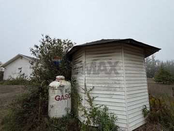 MARAVILLOSA PARCELA San José Tuquén ALGARROBO