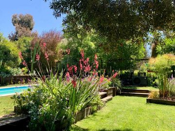 Moderna De Amplios Espacios Y Jardines Piscina Temperada