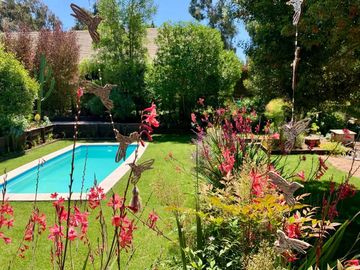 Moderna De Amplios Espacios Y Jardines Piscina Temperada