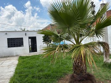 Casa en renta para comercio en San Pedro Cholula