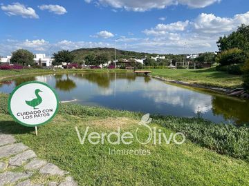 Terreno en Venta Preserve Juriquilla. Secc Arbole