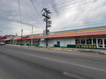 Se vende Locales Huerta Doña Calixtra