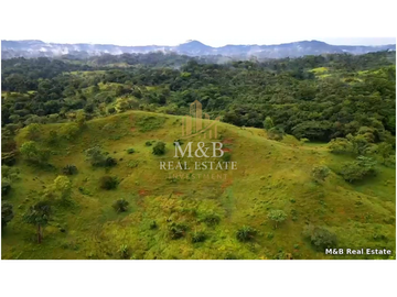 FINCA EN VENTA - NOMBRE DE DIOS