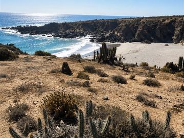 Sitio en Venta en Ex Comunidad Agrícola de Huentelauquen