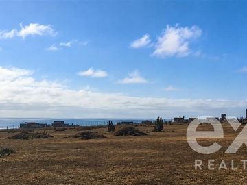 Sitio en Venta en Ex comunidad Agrícola de Huentelauquen sector C lote C19