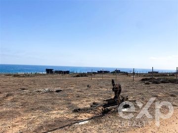 Sitio en Venta en Ex comunidad Agrícola de Huentelauquen sector C lote C19