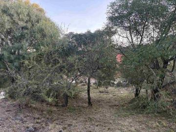 TERRENO EN VENTA EN TIERRA ALTA 806 M2 MALAGUEÑO