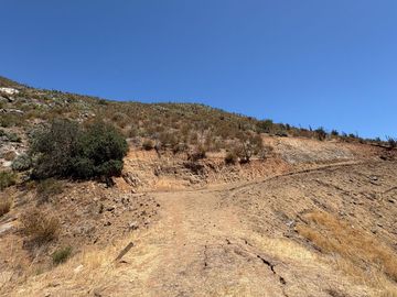 VENTA PARCELA 10000MTS Curacaví