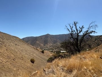 VENTA PARCELA 10000MTS Curacaví