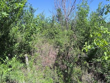 VENTA LOTE PARQUE PSIQUIMAN 914 M2