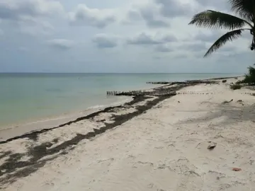 Terreno en venta en Dzemul, Dzemul, Yucatán