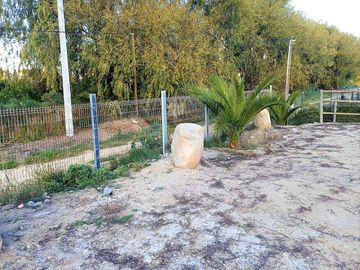 Venta de Parcela de 5.000 m2. en El Romeral., sector Purehue.  160 M$.