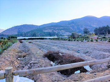Venta de Parcela de 5.000 m2. en El Romeral., sector Purehue.  160 M$.