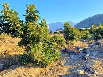 Venta de Parcela de 5.000 m2. en El Romeral., sector Purehue. 180 M$.