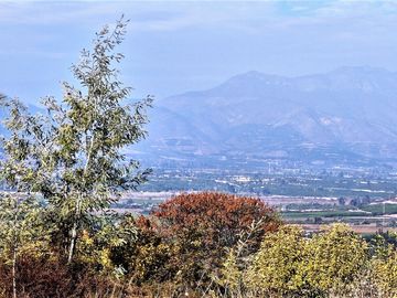 Venta de hermosa parcela de 6.021 m2. con casa y piscina en el tranquilo sector de Lo Rojas, La Cruz. 110 M$.