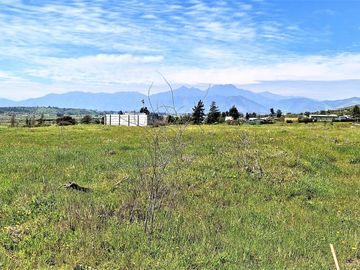 Venta de Sitio plano, Agrícola, de 5.000 m2.,  en Tabolango, Limache. 1.636 UF