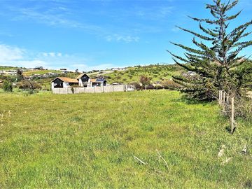 Venta de Sitio plano, Agrícola, de 5.000 m2.,  en Tabolango, Limache. 1.636 UF