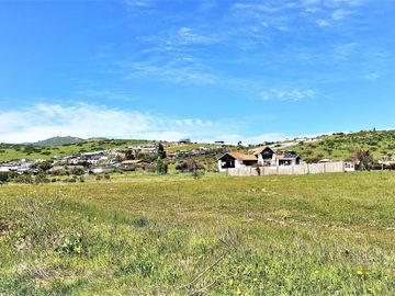 Venta de Sitio plano, Agrícola, de 5.000 m2.,  en Tabolango, Limache. 1.636 UF