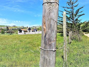 Venta de Sitio plano, Agrícola, de 5.000 m2.,  en Tabolango, Limache. 1.636 UF